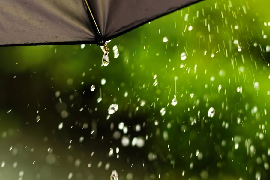 4 lợi ích khi trời mưa bạn nên biết