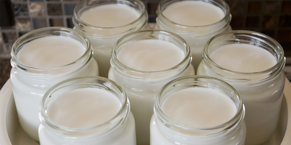 Bạn có thể tự điều chỉnh độ ngọt và độ chua của yaourt theo khẩu vị của mình